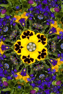 Flower kaleidoscope resembling a mandala clipart