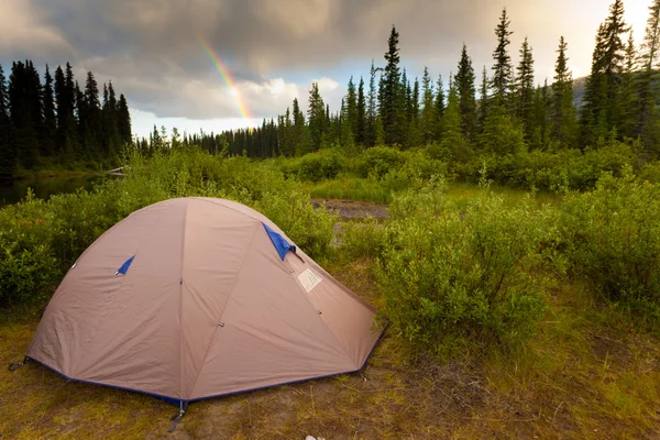 Conceito de acampamento selvagem — Fotografia de Stock