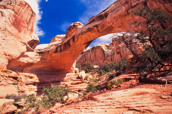 Sipapu Bridge, natural sandstone bridge