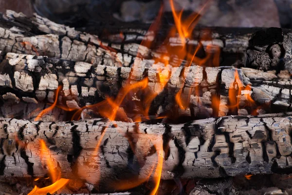 Wood coals and flames Royalty Free Stock Photos
