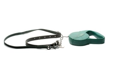 Dog's collar and leash clipart