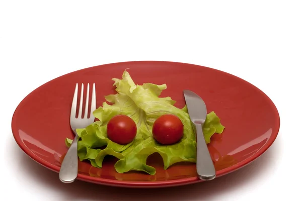 Dietetyczne jedzenie na talerzu — Zdjęcie stockowe