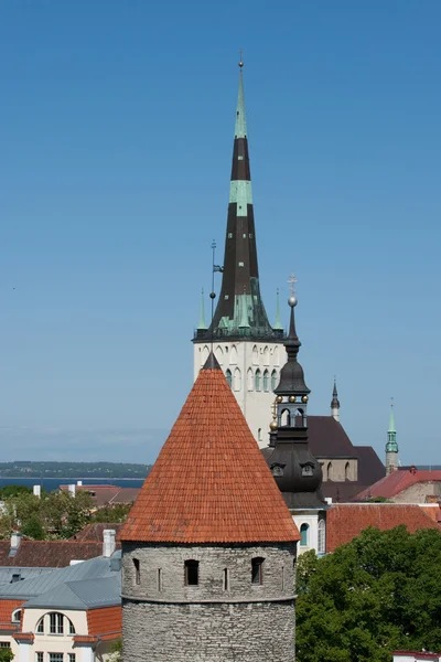 stock image Old Tallinn