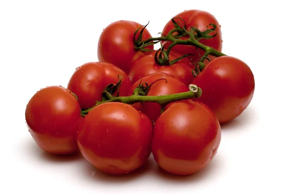 Куча спелых помидоров — стоковое фото