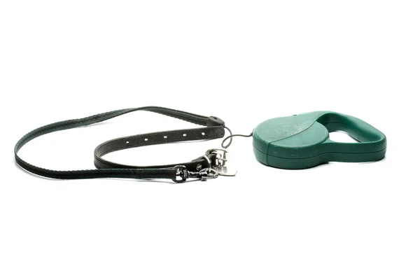 Dog's collar and leash — Stock Photo, Image