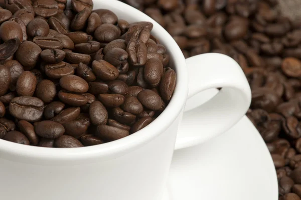 Vit mugg på kaffebönor och säckväv — Stockfoto