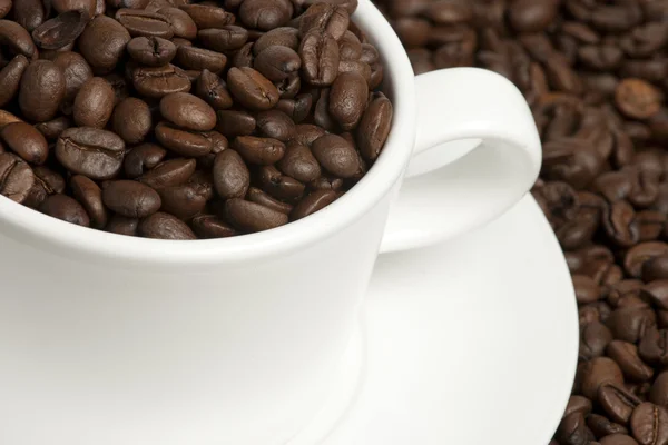 Witte mok op koffie bonen en plundering — Stockfoto