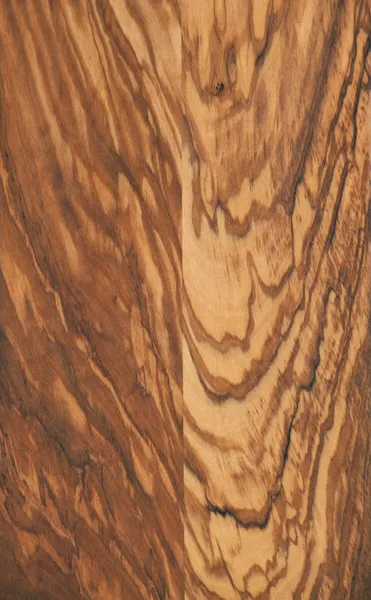 Olijf houtstructuur — Stockfoto