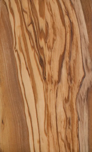 Fine olive wood texture — Stock Photo, Image