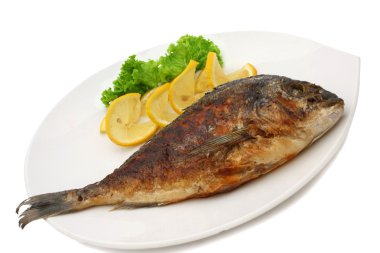 Grilled fish dorado clipart