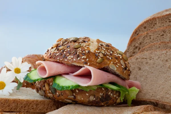 Jambonlu sandviç dilimlenmiş — Stok fotoğraf