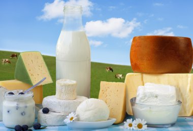 Dairy Products clipart