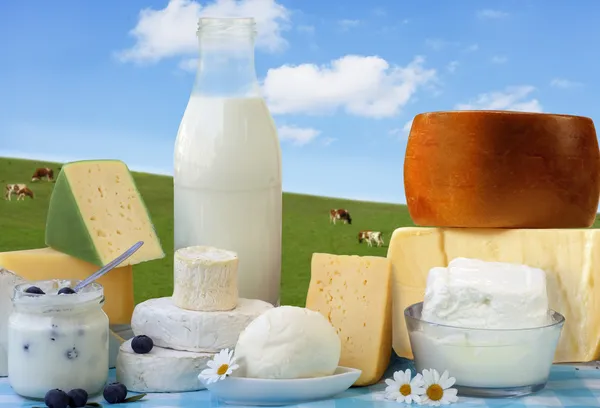 Productos lácteos — Foto de Stock