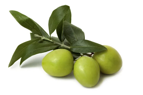 stock image Antipasti - olives isolated
