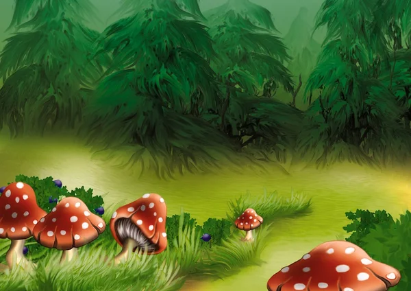 Mosca Agarics Cogumelos — Fotografia de Stock