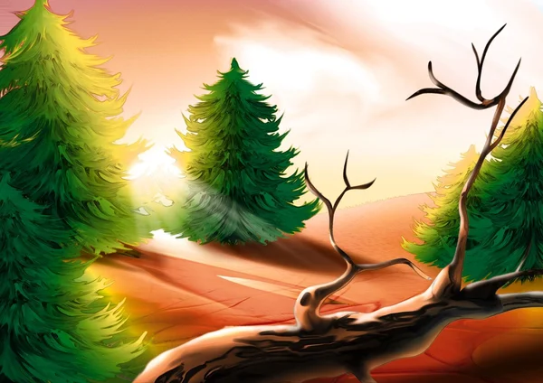 Totholz und Nadelbäume — Stockfoto