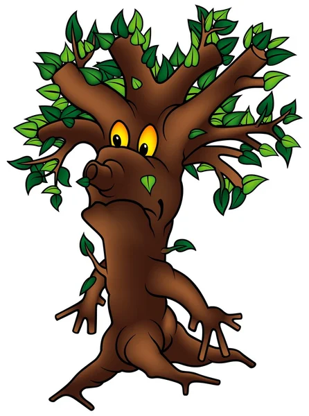 Verbreiteter grüner Baum — Stockvektor