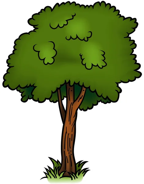 Листовое дерево — стоковый вектор