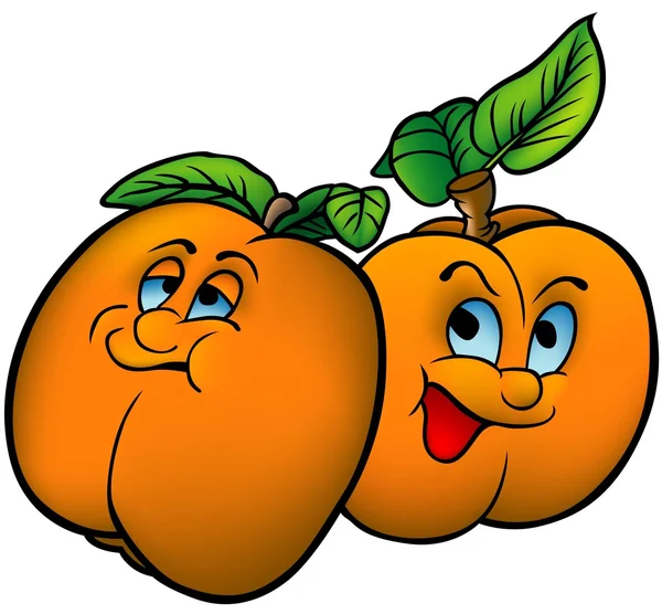 Apelsiner — Stock vektor