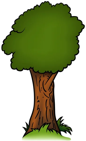 葉の茂った木 — ストックベクタ