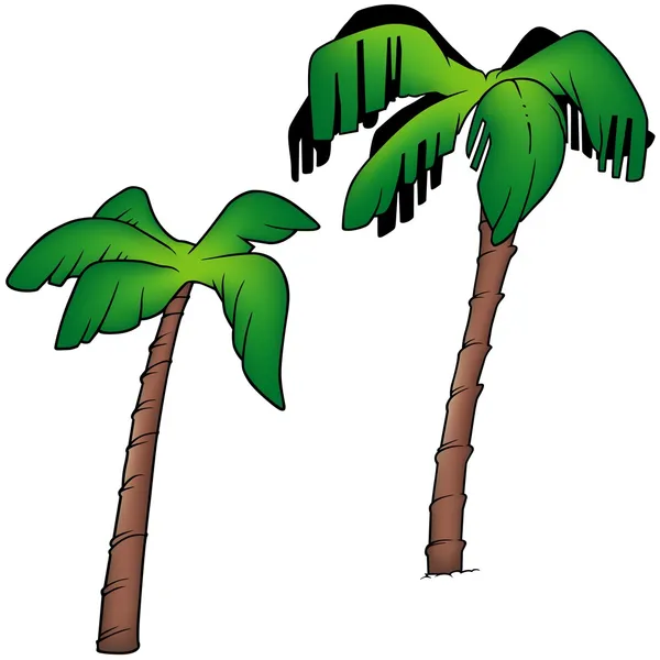棕榈 — 图库矢量图片