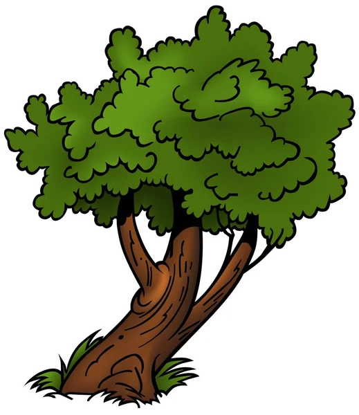 Dallı ağaç — Stok Vektör