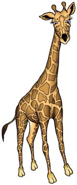 African Giraffe clipart