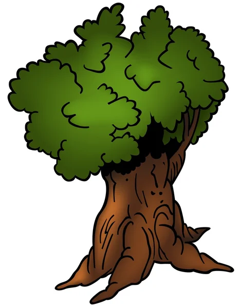 Yapraklı ağaç — Stok Vektör