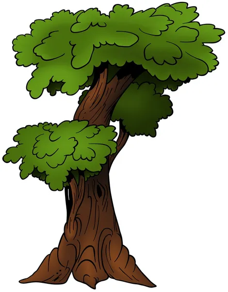 Weitverzweigter Baum — Stockvektor