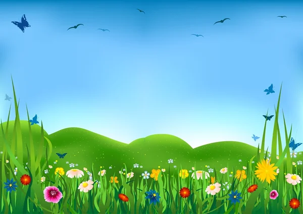 Prairie fleurie — Image vectorielle