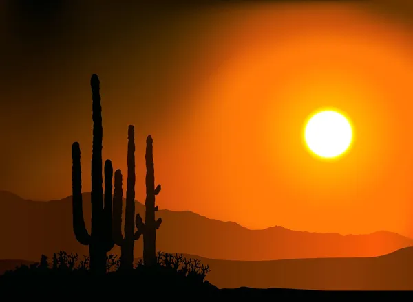 Silhouettes coucher de soleil et cactus — Image vectorielle