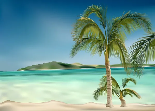 Пляж и пальмы — стоковый вектор