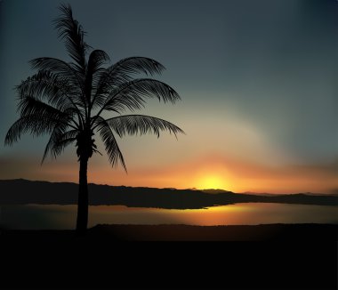 Tropical Sunset clipart