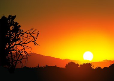 Sunset and Wilderness clipart