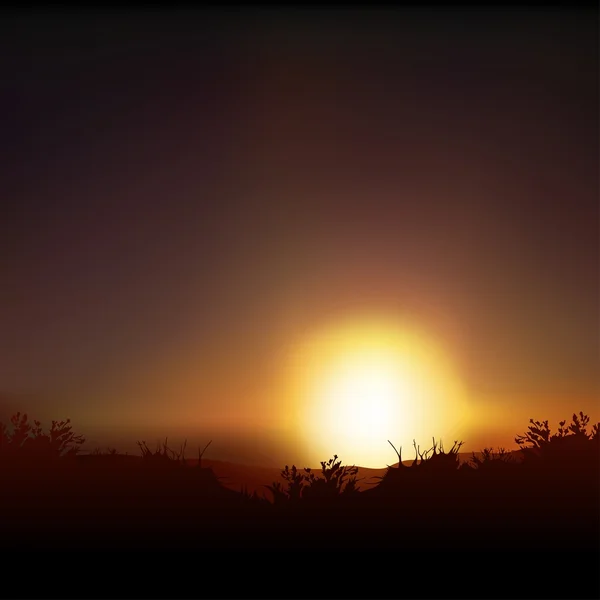 Sonnenuntergang und Prärie — Stockvektor