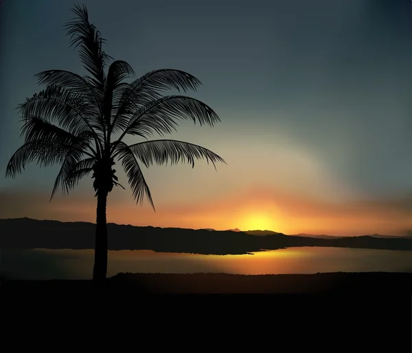 熱帯の夕日 — ストックベクタ