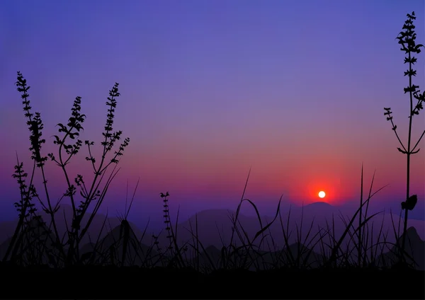 Sunrise - bergen en gras silhouet — Stockvector