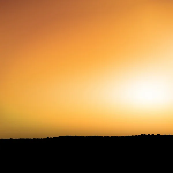 Zonsondergang en savanne — Stockvector