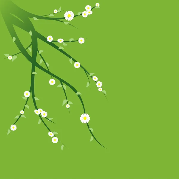 Flowering Green Branches — Stock Vector