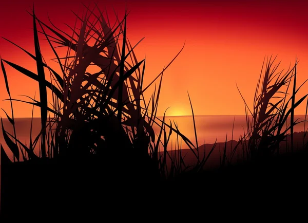 Lac du coucher du soleil — Image vectorielle
