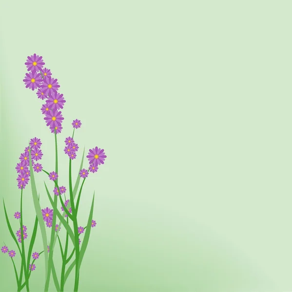 Viola piccoli fiori — Vettoriale Stock