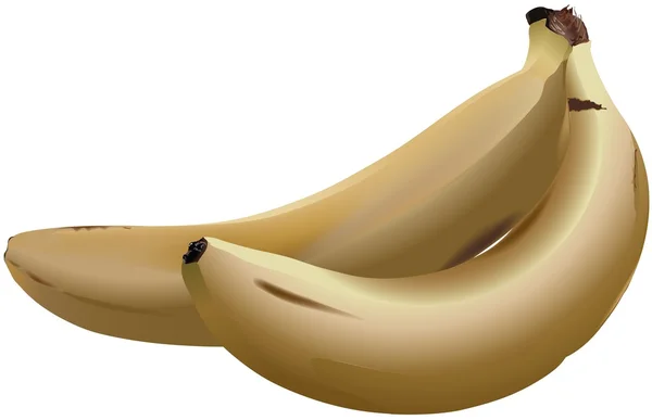 Bananen — Stockvector