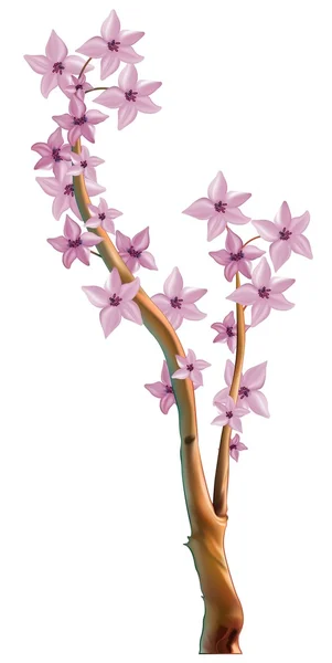Blommande gren — Stock vektor