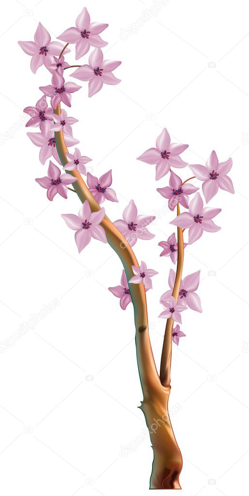 Blossoming Branch