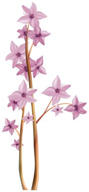 Blossoming Branch clipart