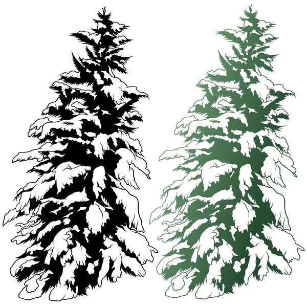 Snowy Conifer — Stock Vector