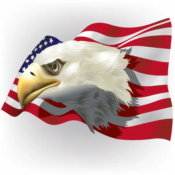 Patriote américain — Image vectorielle