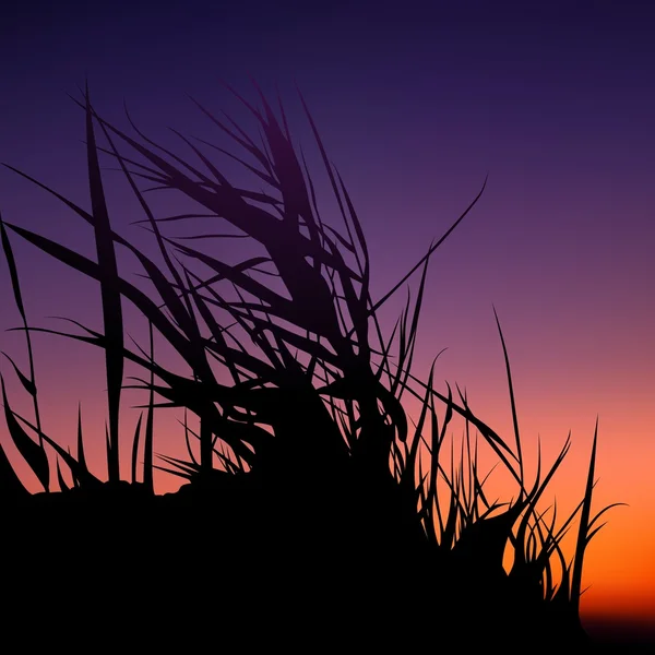 Силуэт заката и травы — стоковый вектор