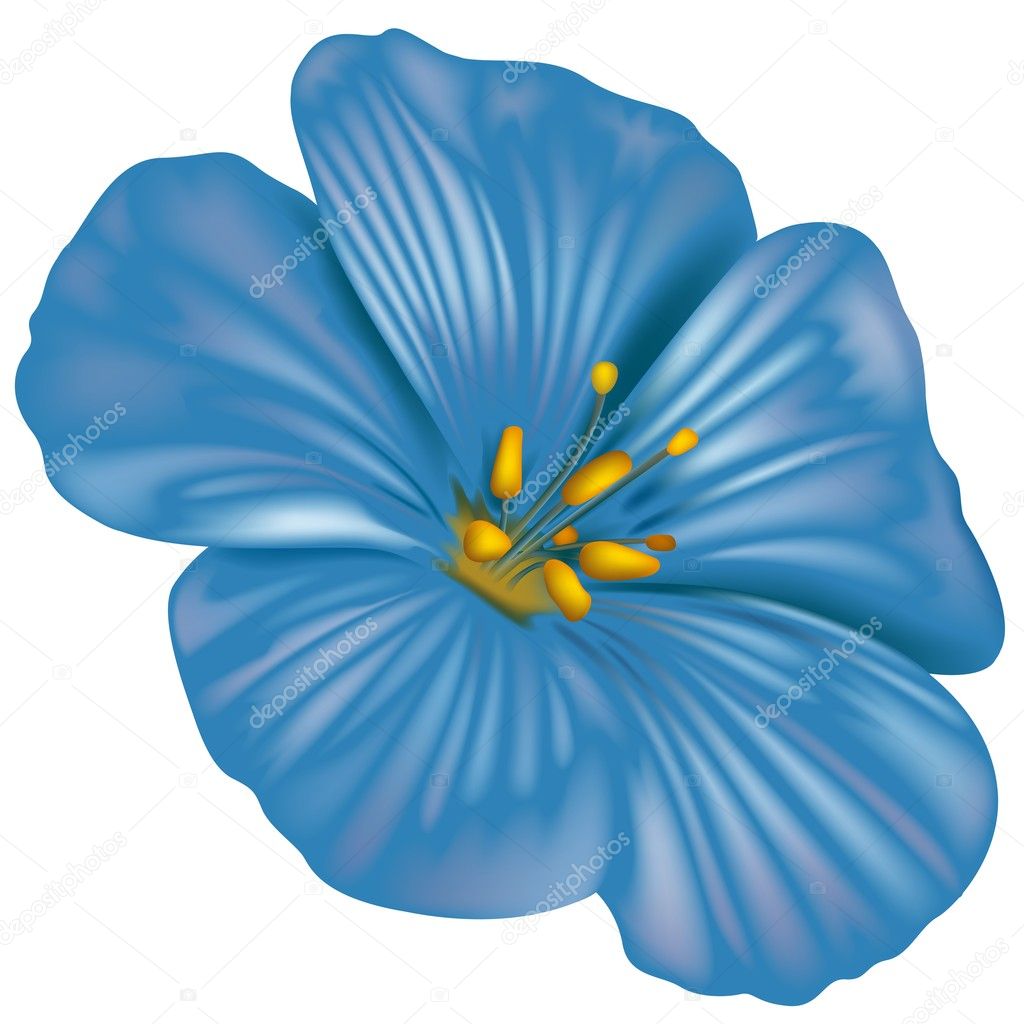 Blue Flower Stock Vector C Dero10