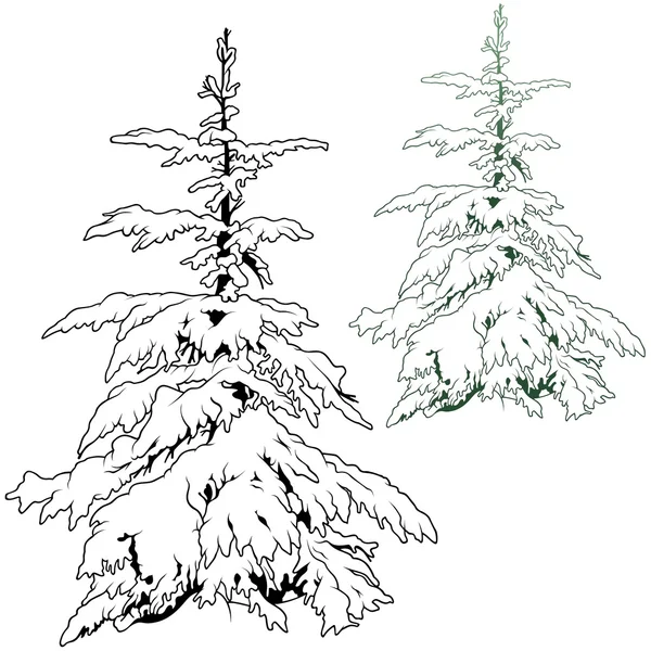 雪カバー針葉樹 — ストックベクタ